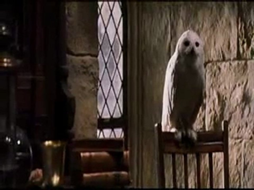 Harry Potter and the Order of the Illuminati écrite par J. K. Rowling et adapté au cinéma par le réalisateur Chris Columbus