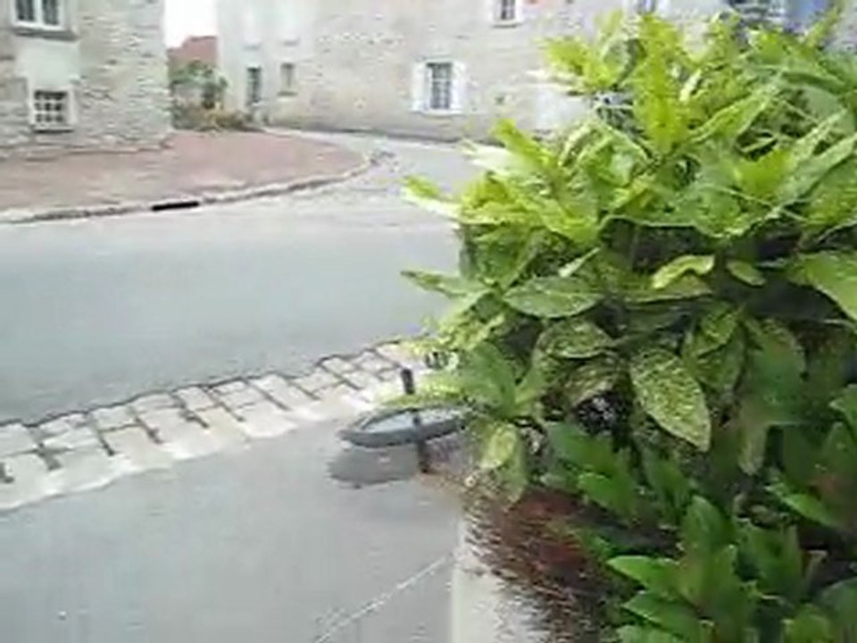 CrazyStreet n°5 + 5ème gamèle du fou et 1ère gamèle du taxi !