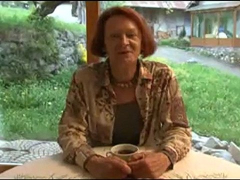 2009-2010-Terminales-Mémoires d'un poisson rouge