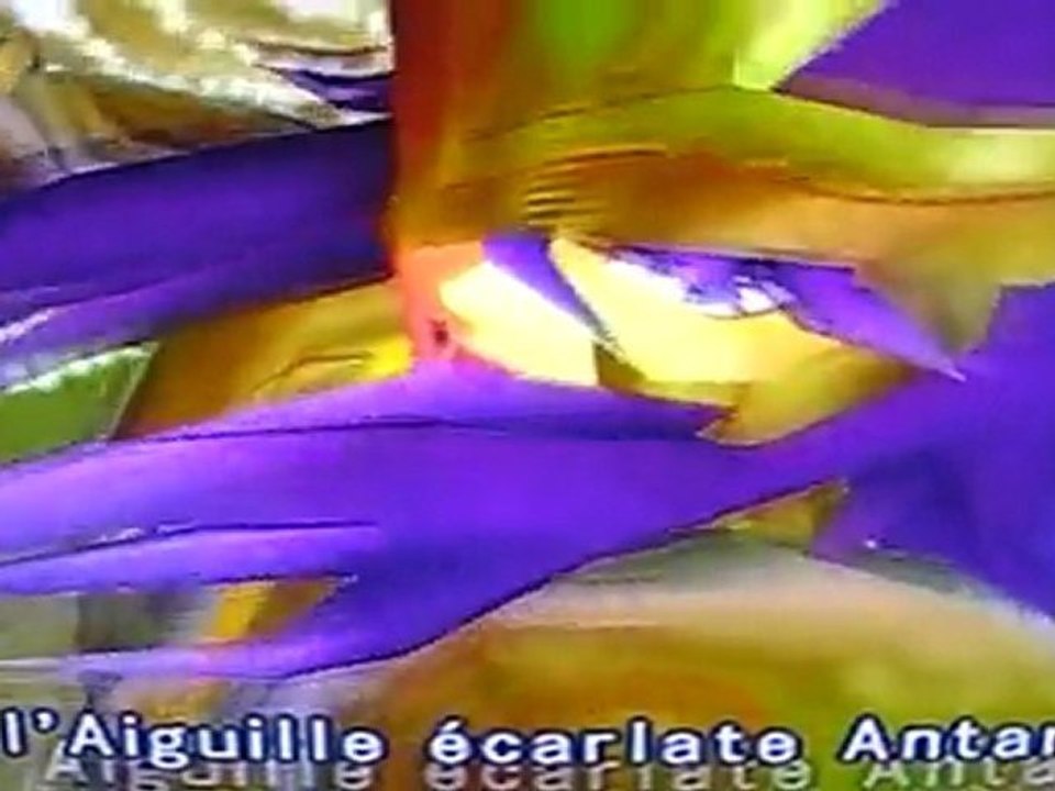 maison du scorpion part2