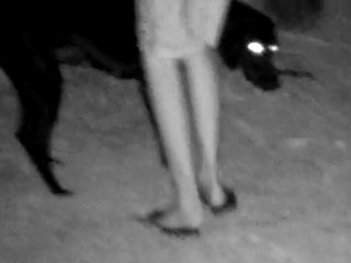 Wildgame AC5xc Hi-D Infrared Action Cam  Kurzhaar gece çekimi.