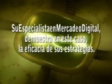 Servicios de mercadeo digital para aseguradoras