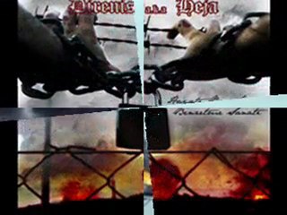 ÇAĞDAŞ = BEN SENİ GÜLÜM...