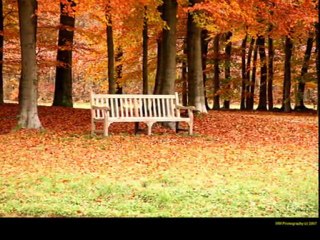 LEVENT YURTSEVEN & AJLAN BÜYÜKBURÇ