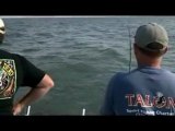 Charter Captains Jim, Rich and John walleye fishing Lake Erie Michigan 2011