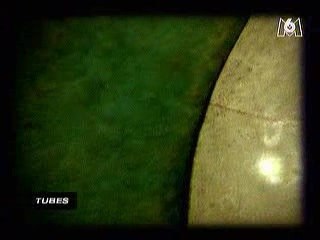 Cheb Mami - Au Pays Des Merveilles