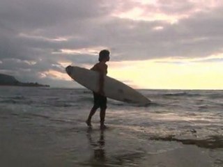 Hawaii Bodyboard Leftovers