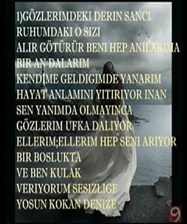 Ahmet Selcuk İlhan Gözlerin Kal Diyor Dudakların Git