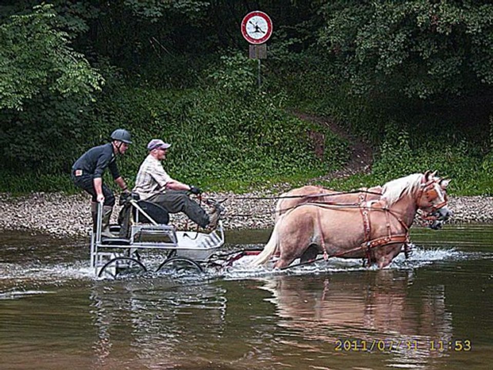 Elevage de la Vallée Mosane