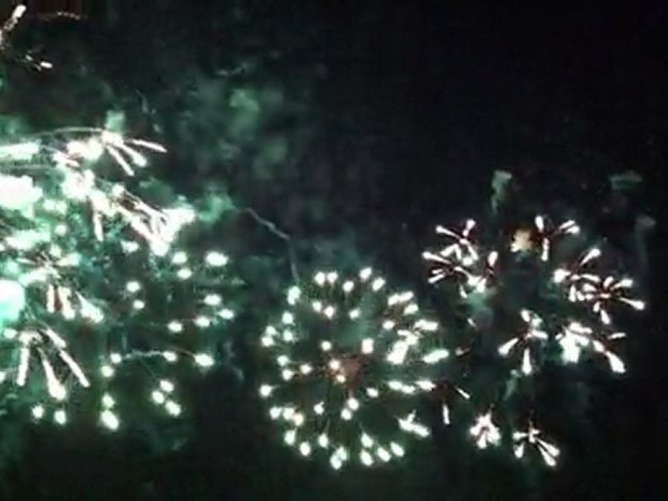 2011.08.01 (2)