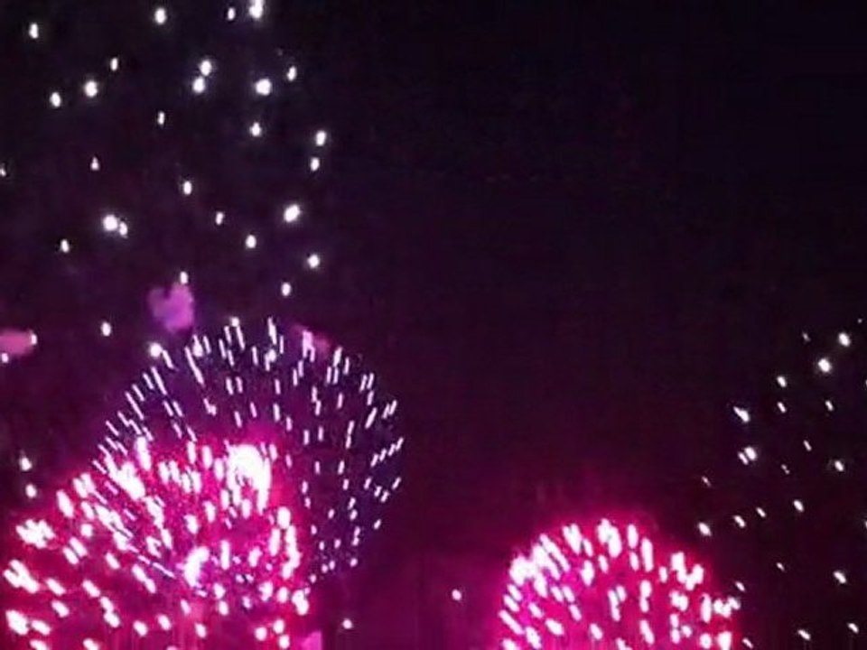 2011.08.01 (3)