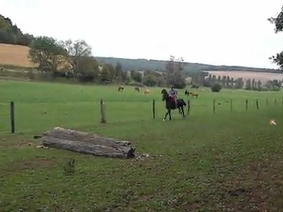 galop sur le PTV