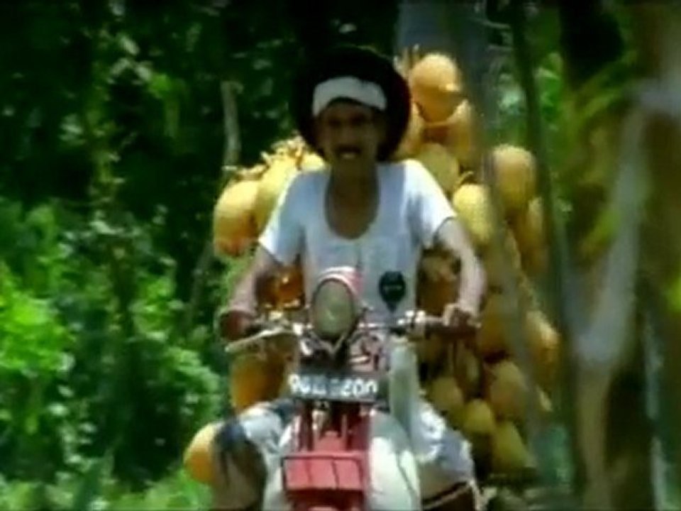 Holiday in Sri Lanka, Tour Sri Lanka, Travel Sri Lanka, Hotels in Sri Lanka