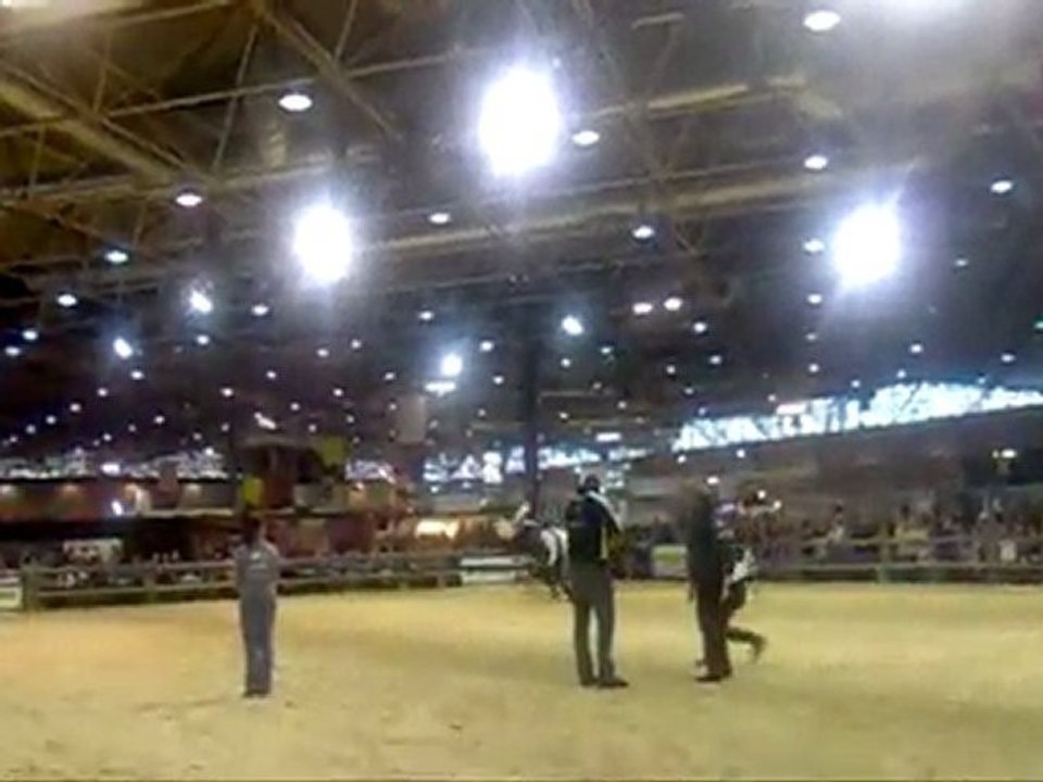 Equita Lyon 2010 voltige et poste