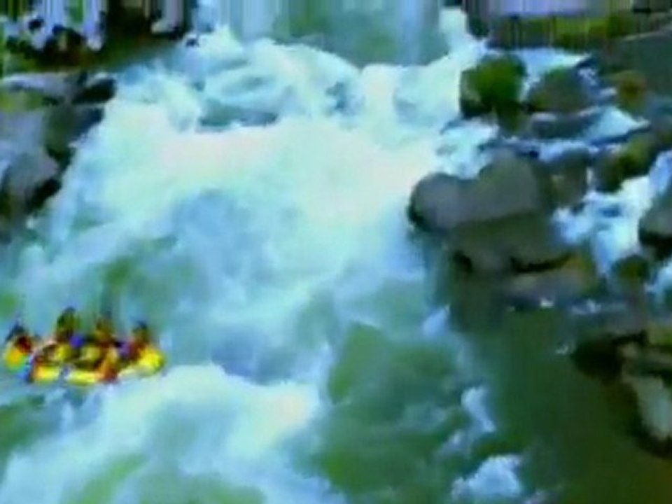 Alankuda Beach Beach,  Dolphin Beach Hotel, Whale watching Sri Lanka