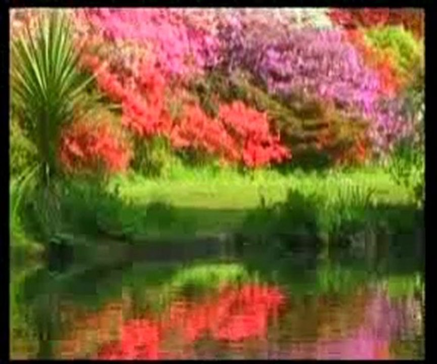 Tüm müslümanlar için ortak bir müjde