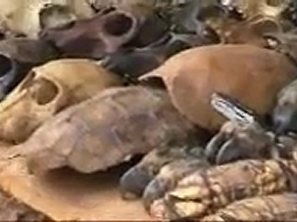 Voodoo Market african spell