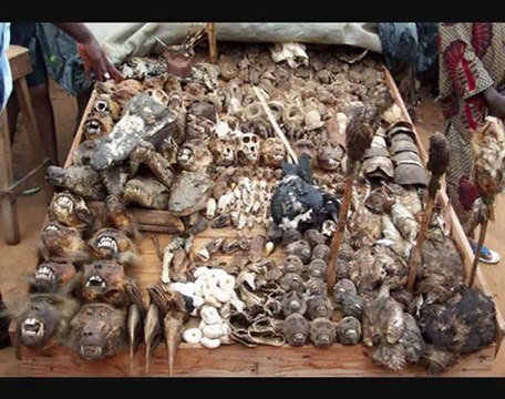 black magic african voodoo dool