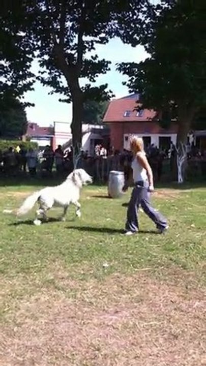 demo Tango juillet 2011