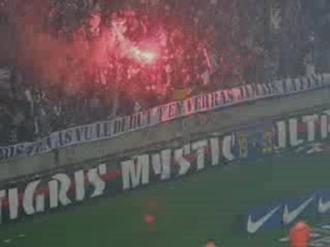 10 ans des tigris mystic