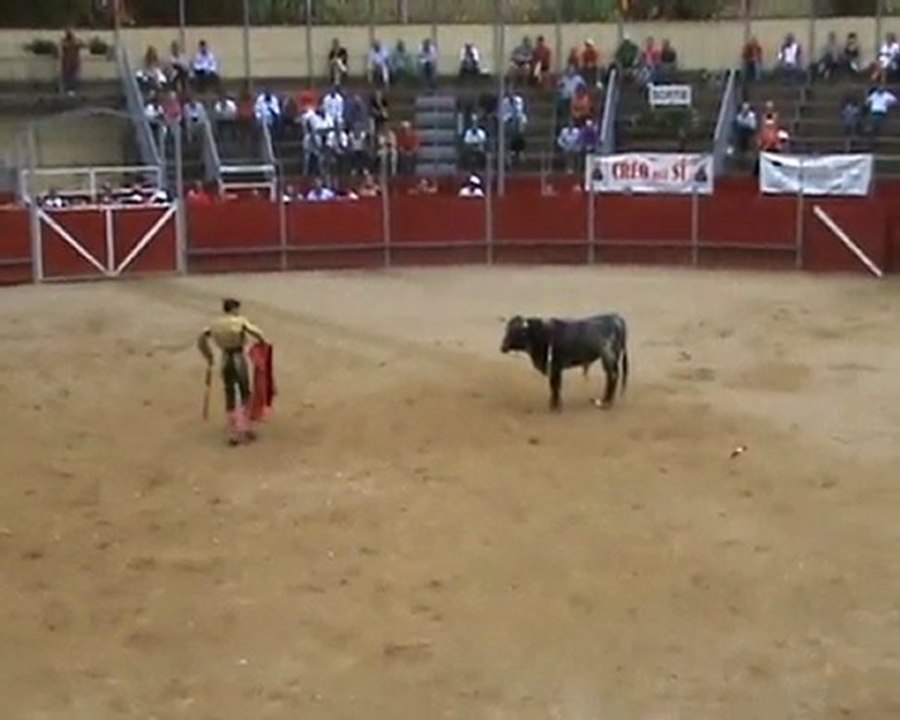 "Kike" (Cédric Fructueux)  Tartas 2011