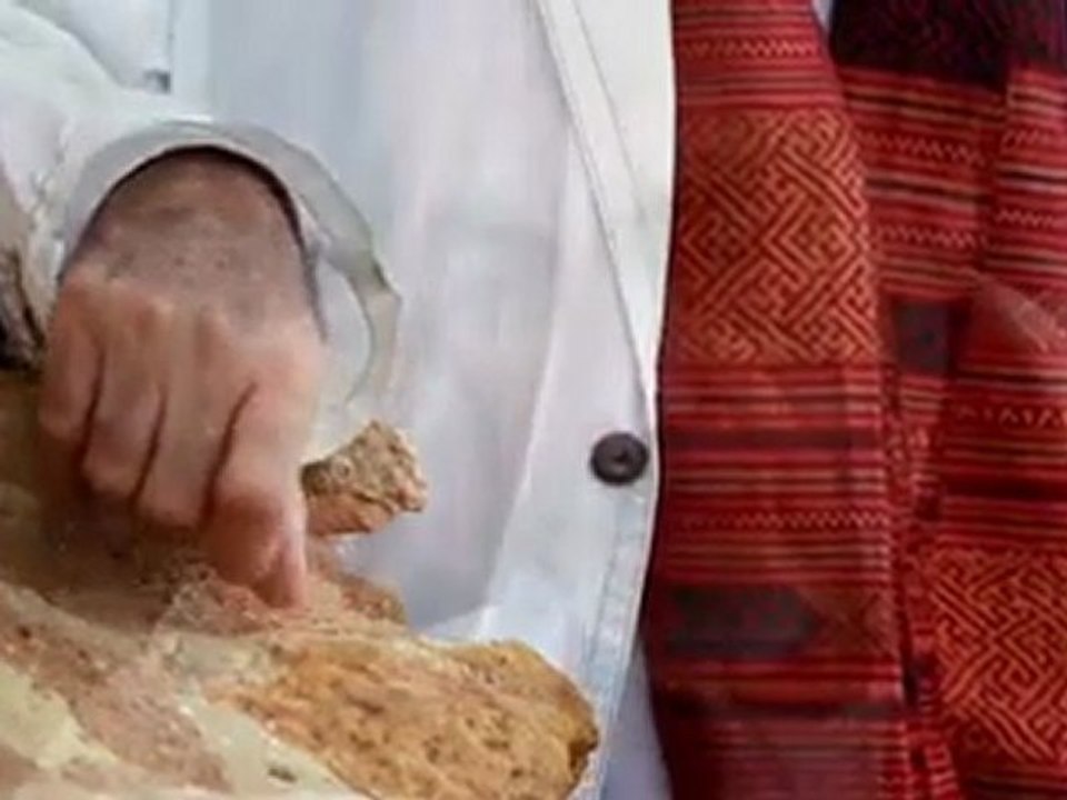 Hichem Rostom soutient Ben Ali en 2009 pour les élections presidentielles