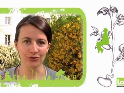 La FEVE : fédération des élu/es Verts et écologistes.