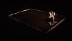 Et la terRe ? version théâtre, création pour 5 danseurs et 5 m3 de terre  à l'Hippocampe de Caen le 11 janvier 2011