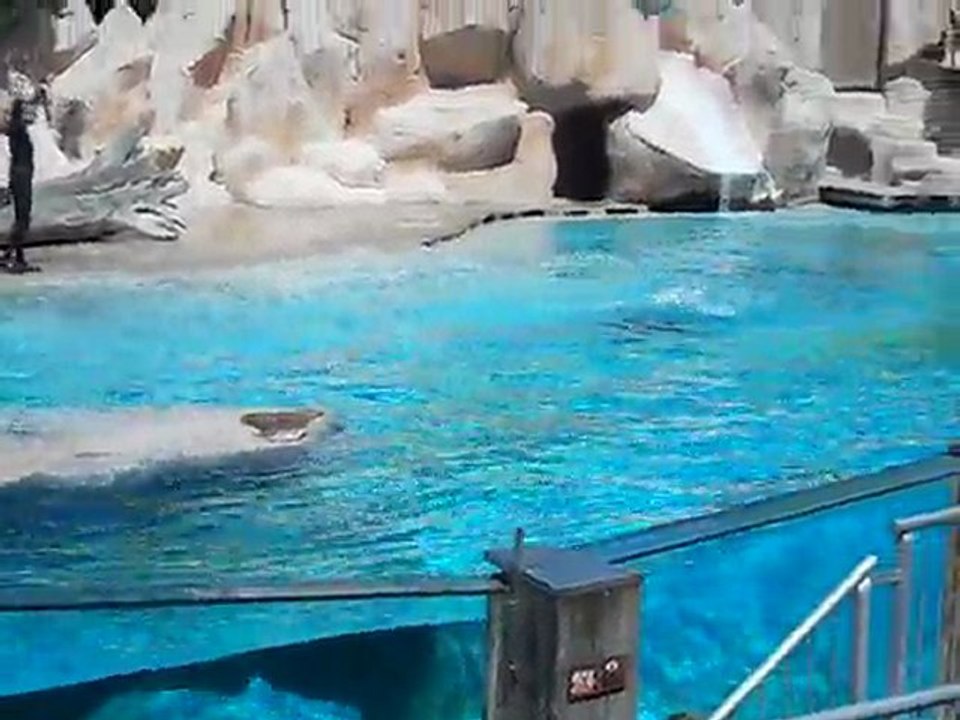 ZOO D AMNEVILLE 01 AOUT 2011 M&F s