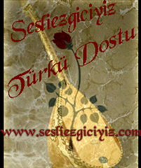 www.Sesliezgiciyiz.com-Ergün Efe-Ayrılık Boynuma Zincir