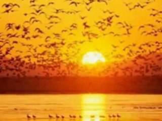 Grup Mavi - Denizin Ötesine