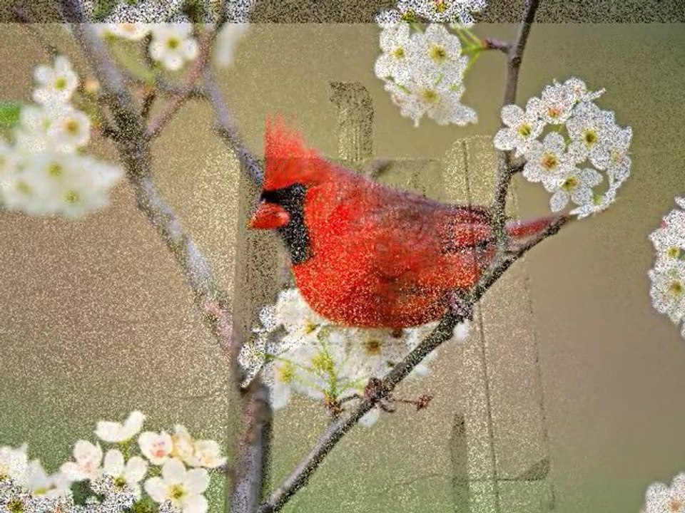 Ulla Meinecke - Die Zeit wartet auf Niemand