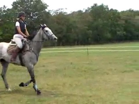 Rose saut 03-08-11 - Copie