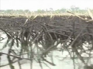 Nigerian oil pollution may need world's biggest clean-up: UN