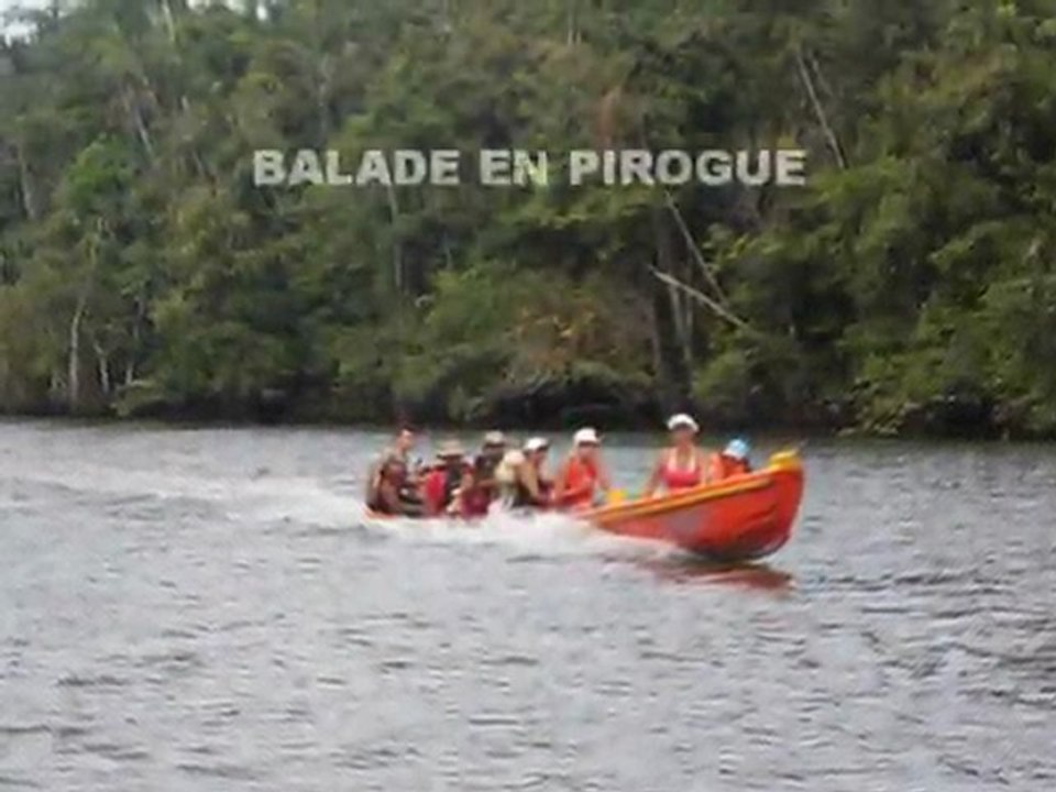 Pirogue sur la Comté