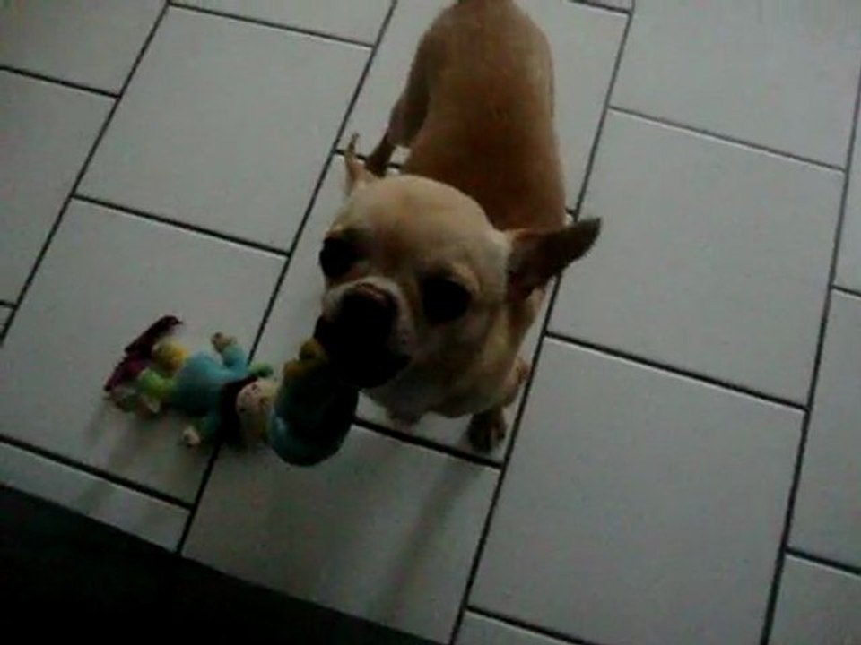 lulu et doudou