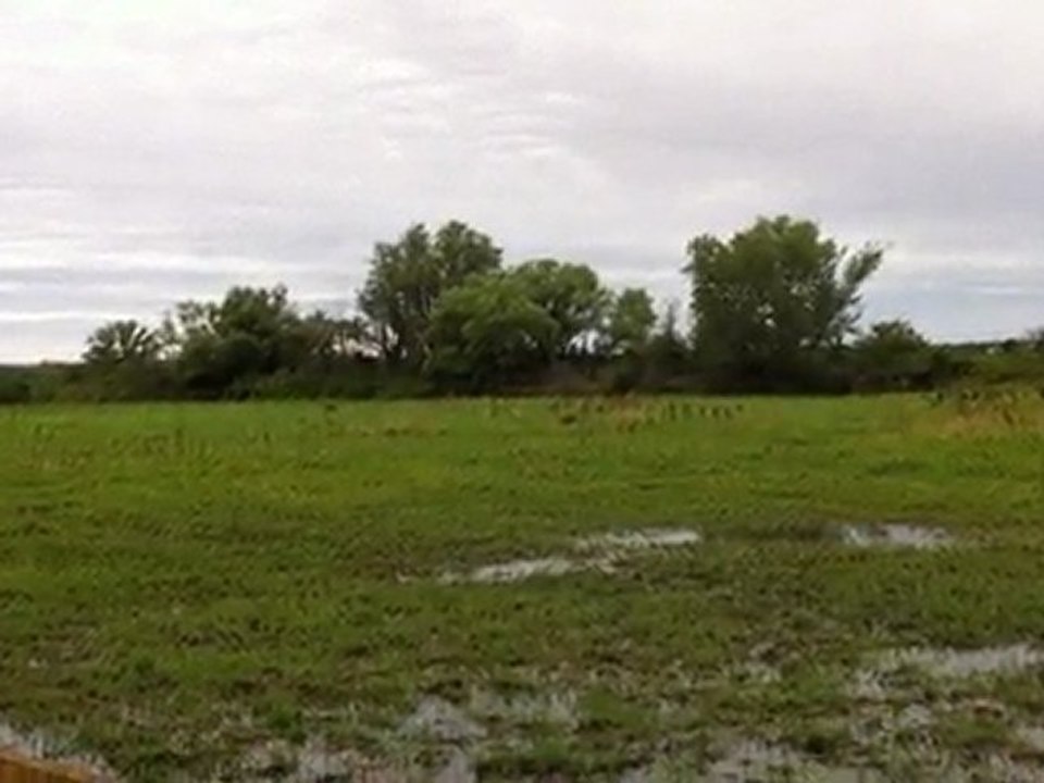 Cadix entrainement camargues juillet 2011