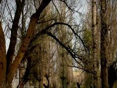 Grup Derman - Ya İlahi