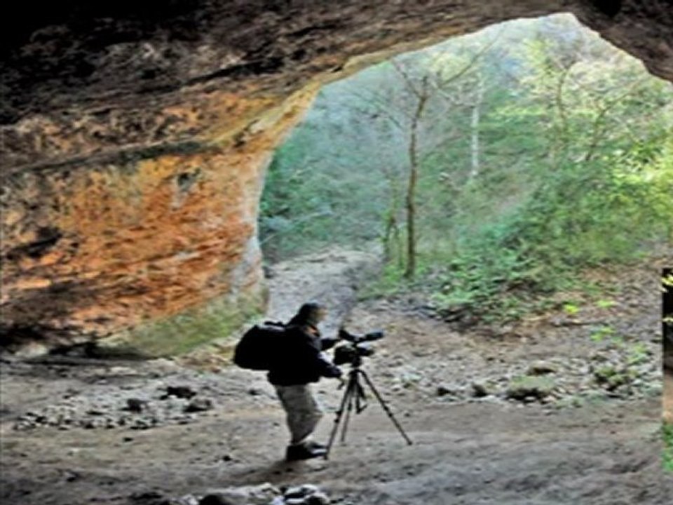 Salernes  Haut Var  le vallon Saint Barthélémy