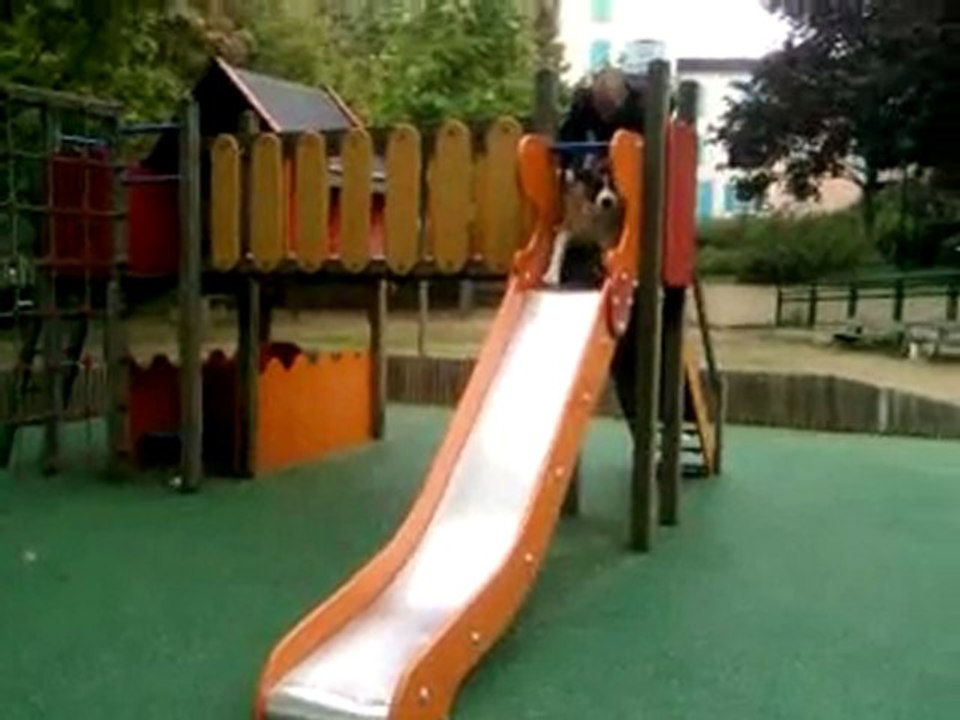 elfy toboggan