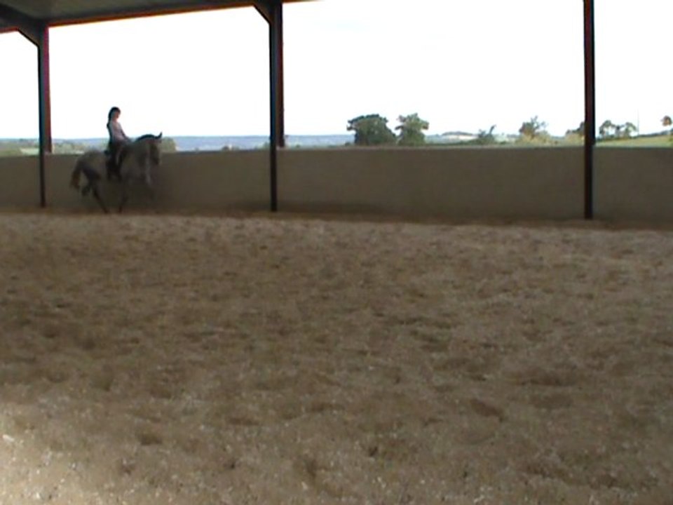 trot allongé 04.08.11