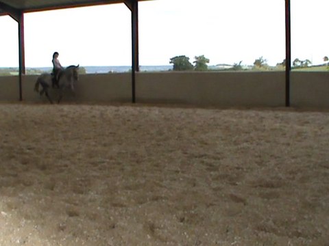 trot allongé 04.08.11