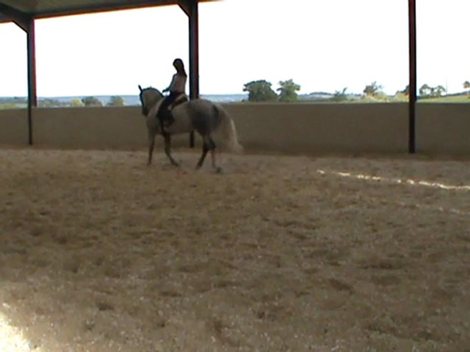 04.08.11 apuyer