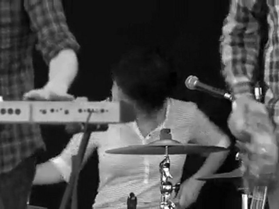 Generationals - Wildlife Sculpture (live)