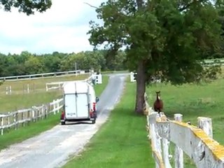 Séparation entre RIKIKI et SOIE BLEU