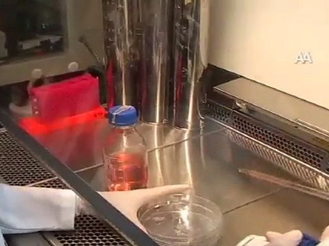 PARMAK İZİNİ SİLEN GEN BULUNDU