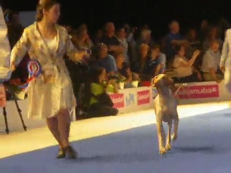 Entre sur scène de Mr Goubie Juge du Groupe 7 Mondiale 2011