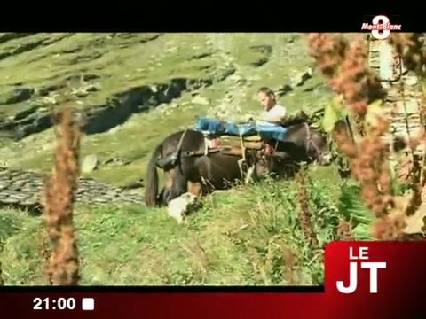 Les derniers muletiers des Alpes (Termignon)