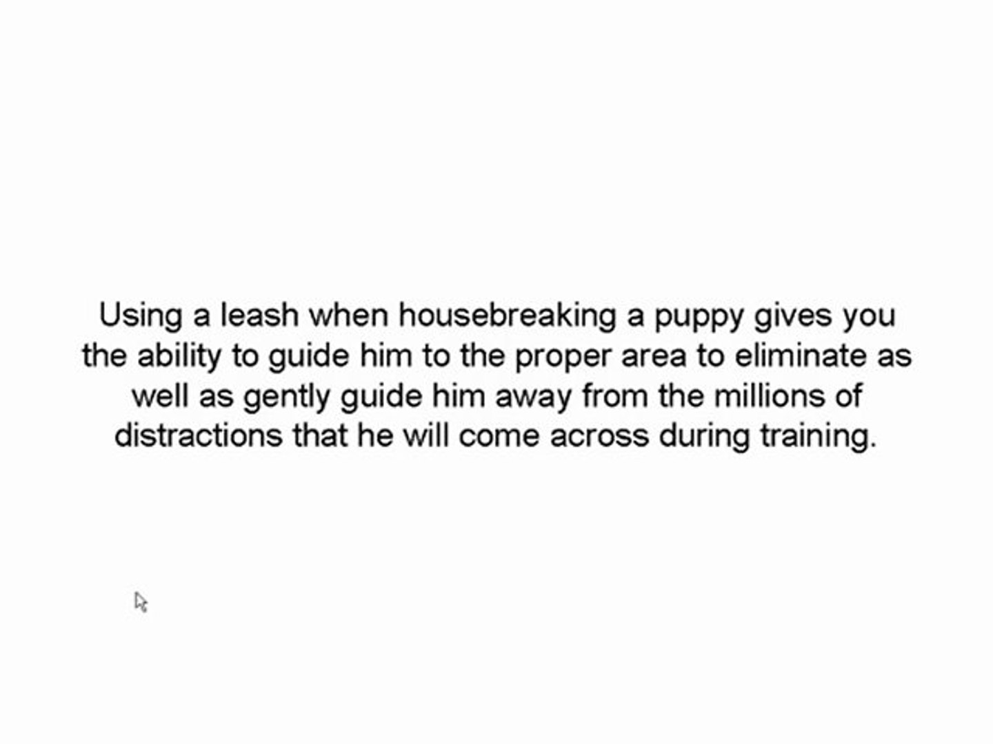 ⁣4 Easy Steps to Housebreaking a Puppy