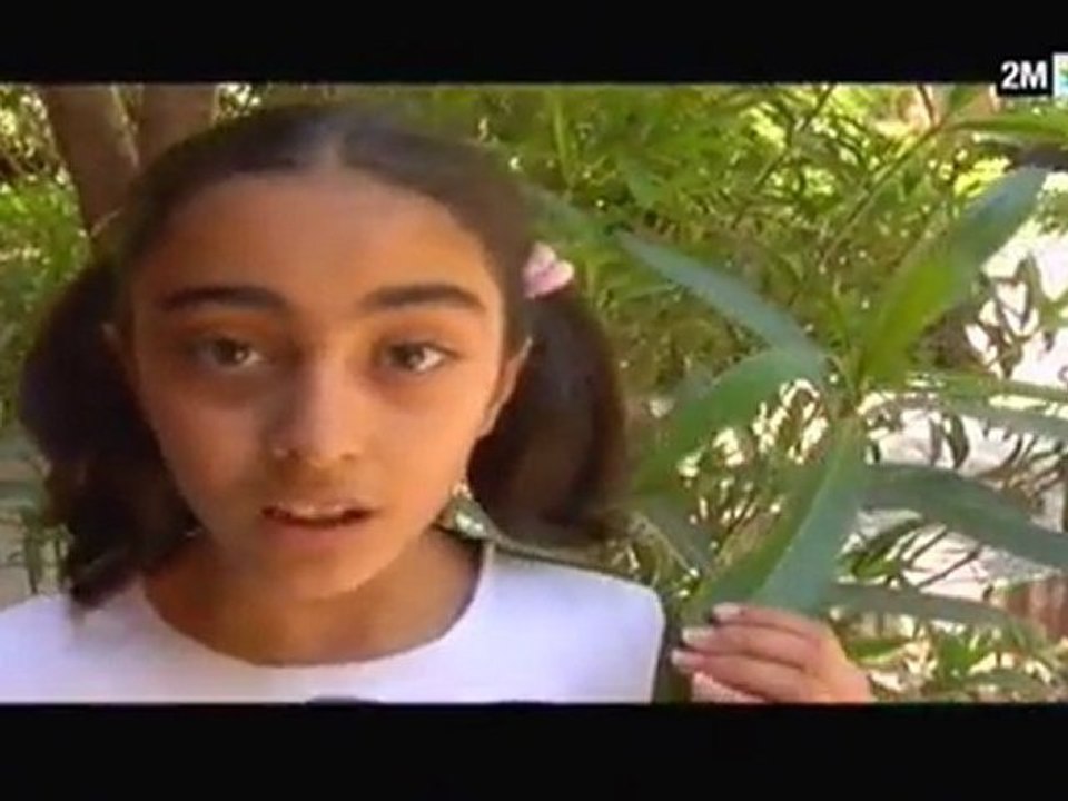 كالك هذا واحد: الجمعة 5 غشت